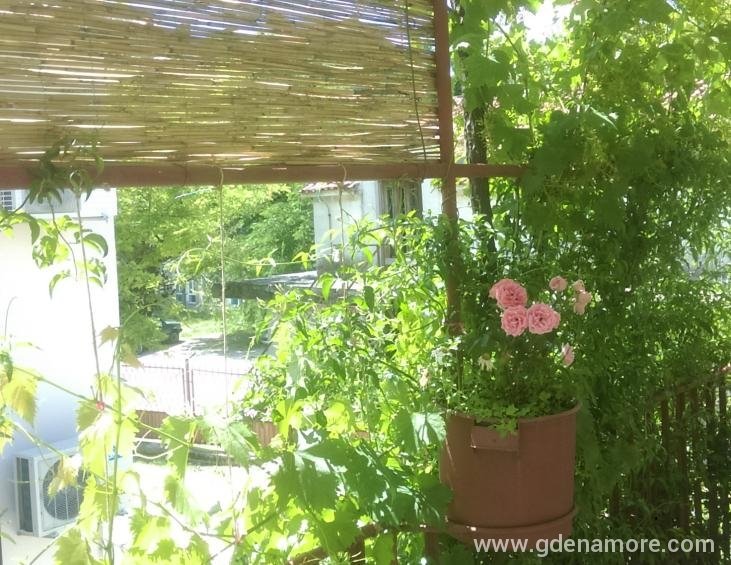 Terasa u cvijeću